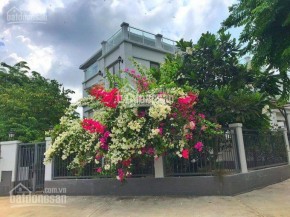 Bán biệt thự Quốc Hương  P Thảo Điền Quận 2 DT 15x20m 2 lầu áp mái...
